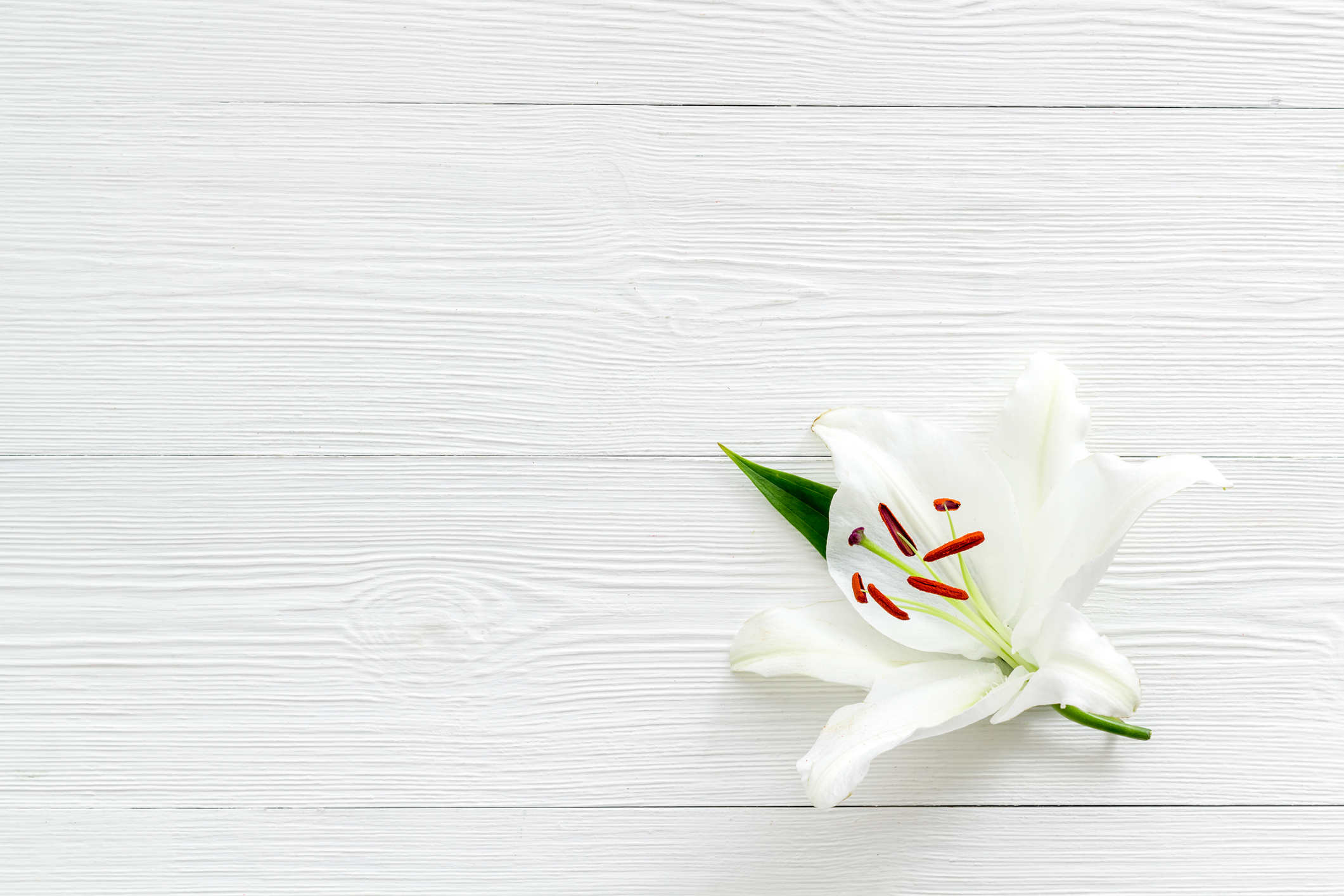 Condolence card with white flowers lily, from above - stock photo GettyImages-1282637815