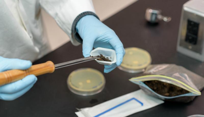 “Dishing the dirt” takes on a new meaning as NJCU students share in - formation in a world-wide research initiative.