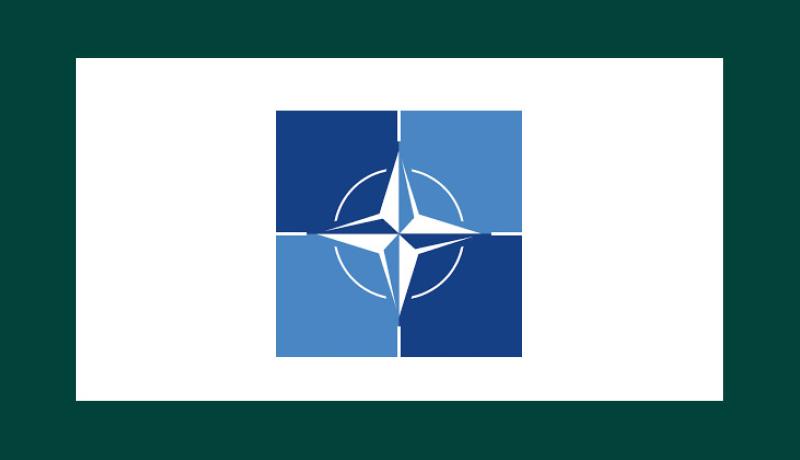 Nato News Banner