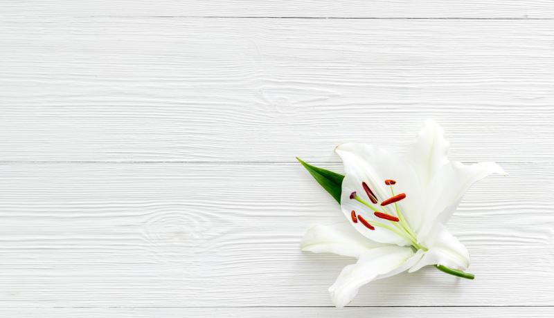 Condolence card with white flowers lily, from above - stock photo GettyImages-1282637815