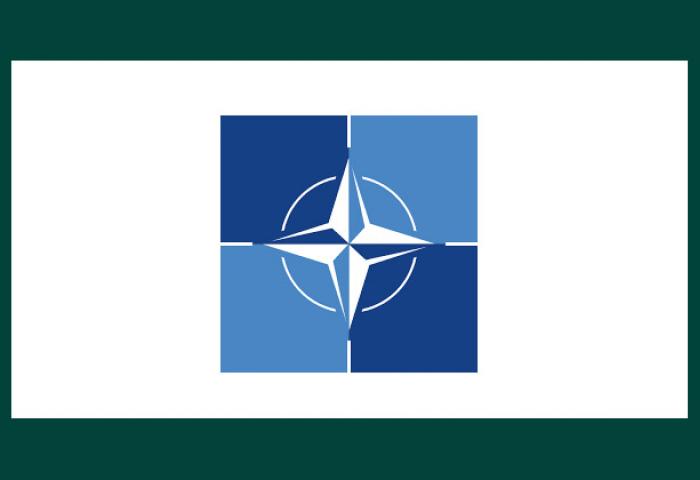 Nato News Banner