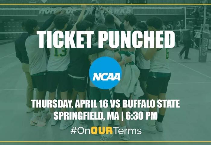 Men's Volleyball Ticket Punched graphic