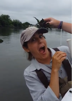ALLISON FITZGERALD HEADSHOT