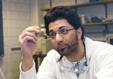 male biology student examining test tube
