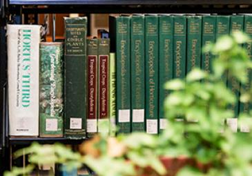 books in library plant in foreground ed tech thumbnail
