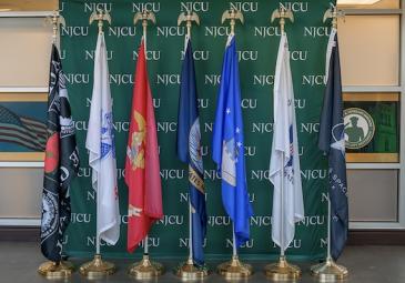 military flags standing