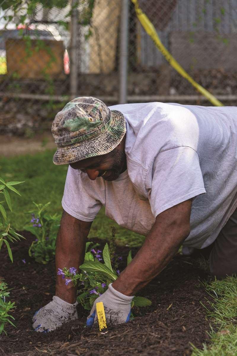 Person planting flowers in new rain garden.