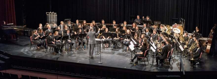 Symphony of winds and percussion ensemble