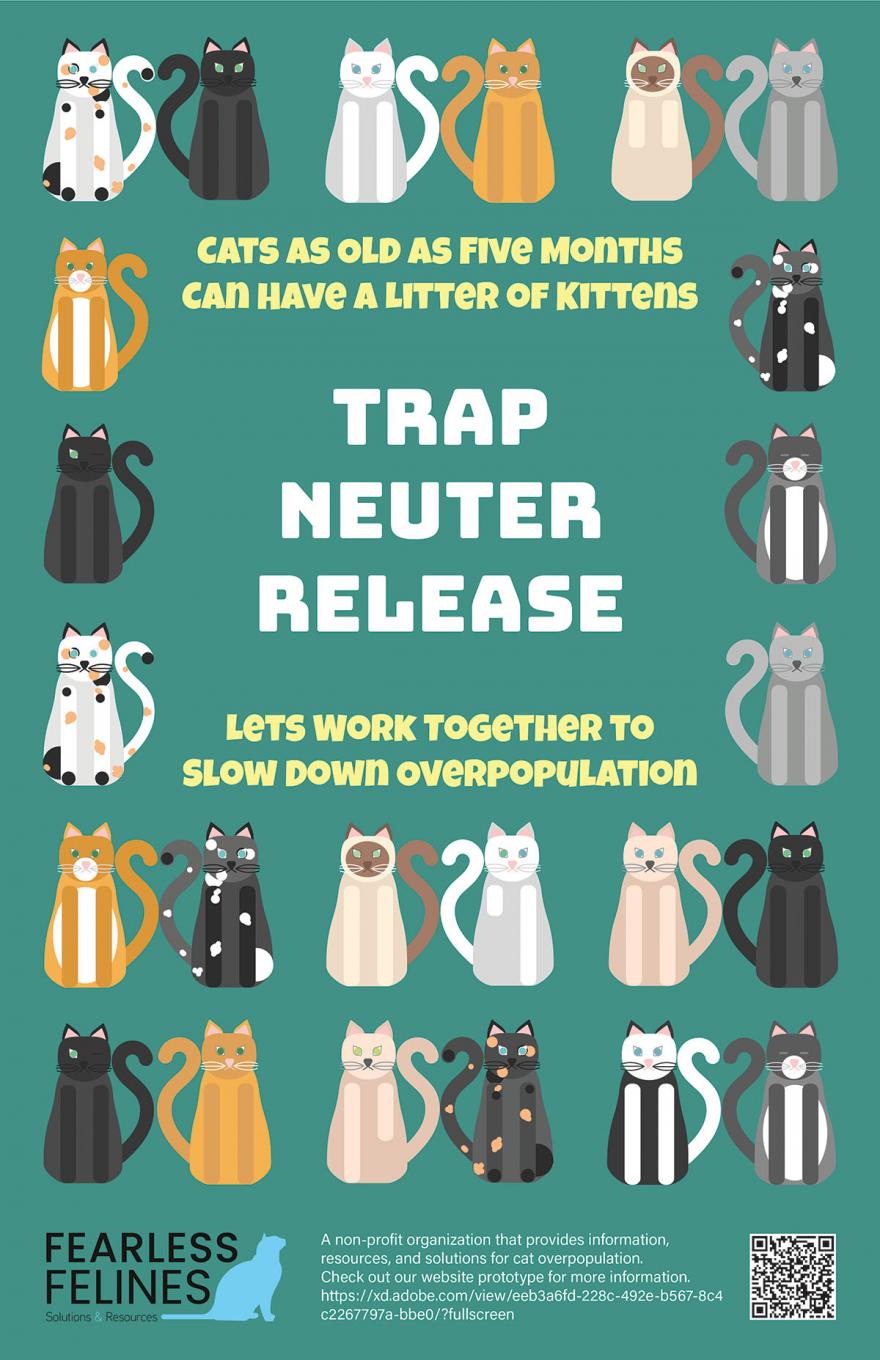 Trap Neuter Release Poster