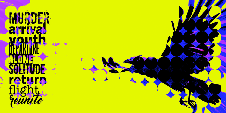 Black crow on a yellow background