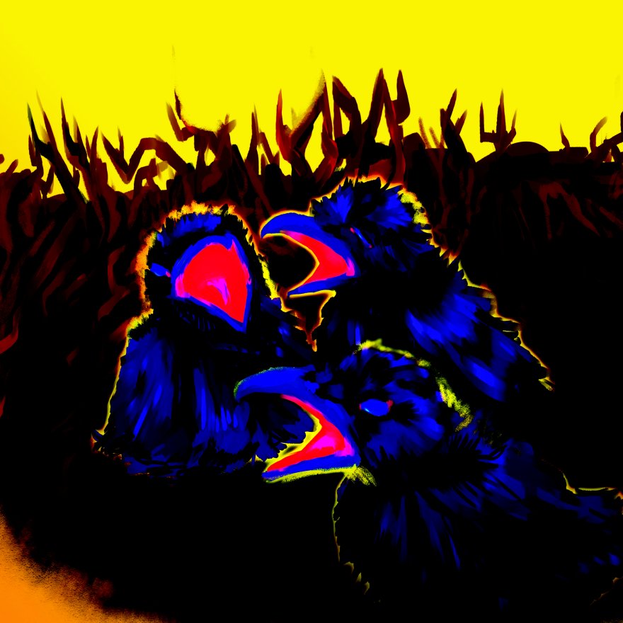 Baby Birds in a Nest