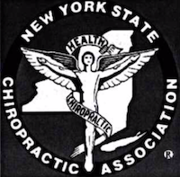 NYSCA SMALL LOGO