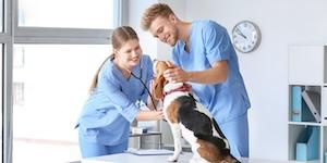 TWO VETERINARY ASSISTANTS WITH DOG