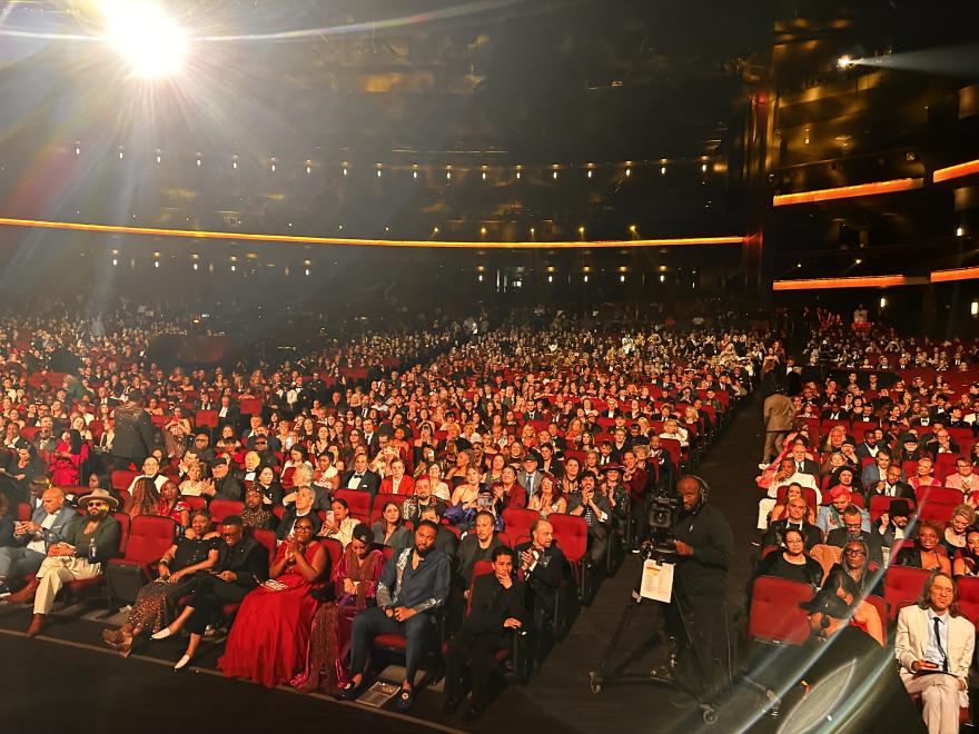 68th Annual Grammy Award, Martha Mooke photo from stage