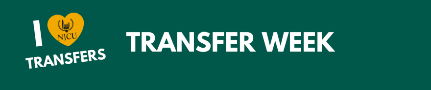 Transfer week banner