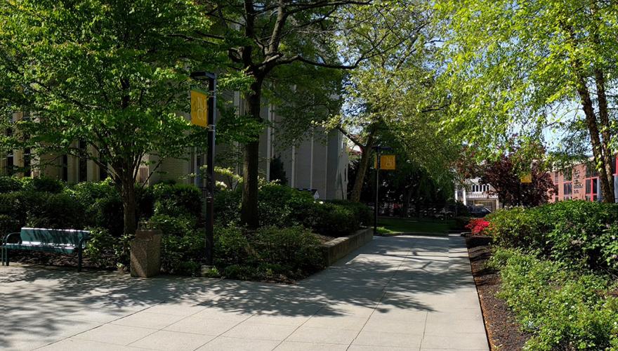 NJCU Campus