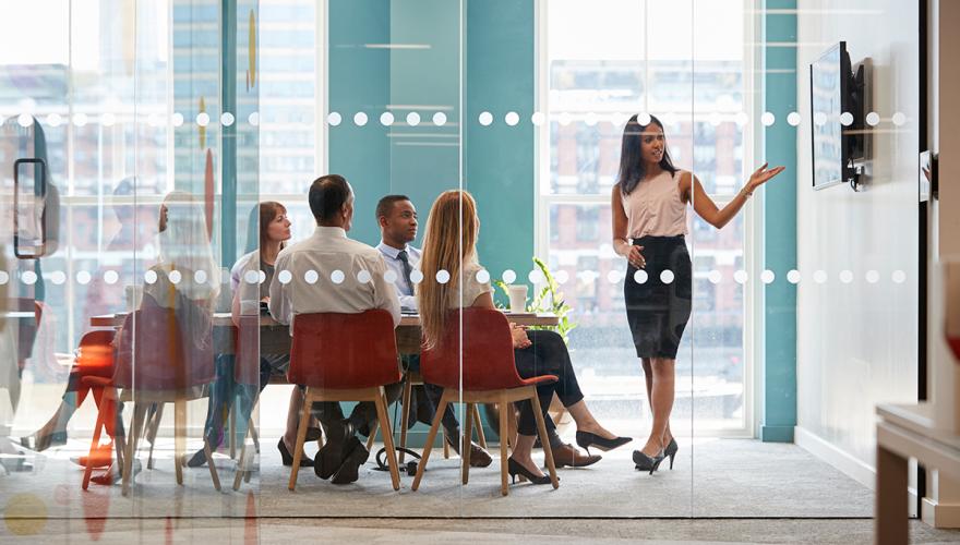 business presentation adult woman in a conference room