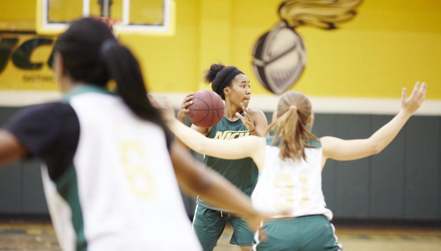 tcnj women's basketball