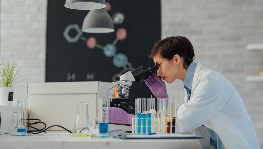 Undergraduate Research Internships, PreMedical Summer Programs