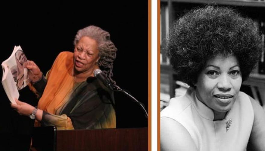 toni morrison headshot pics