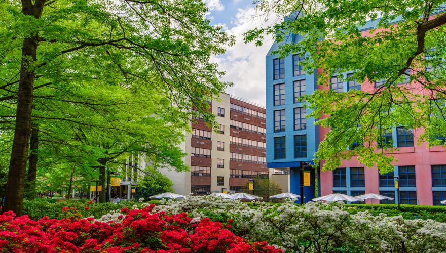 NJCU Zoom Background: Spring Campus