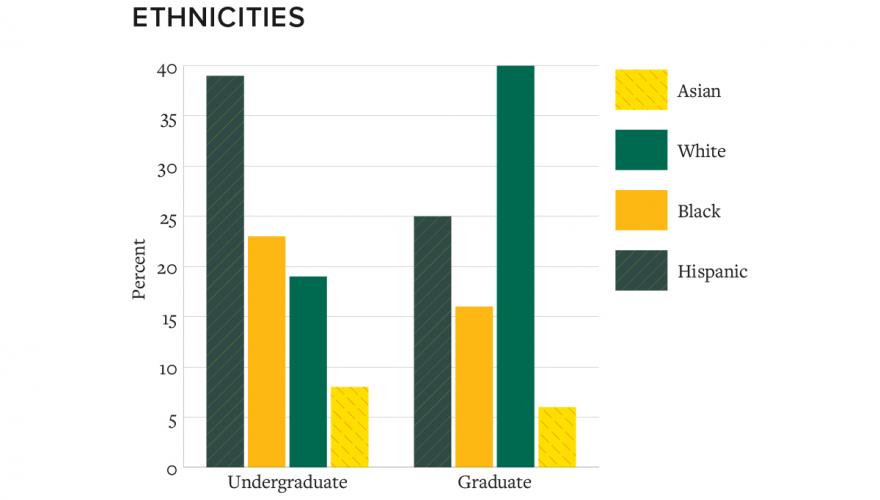 NJCU Student Ethnicities Chart