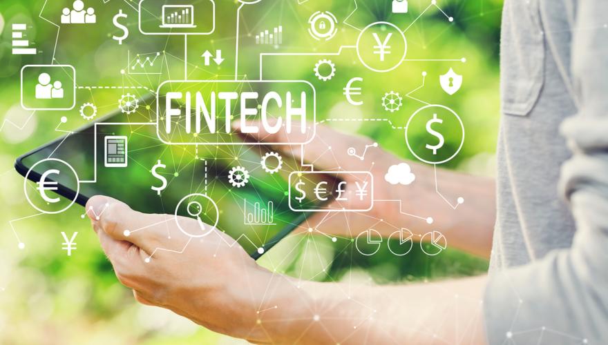 Hands of person researching information using a cell phone