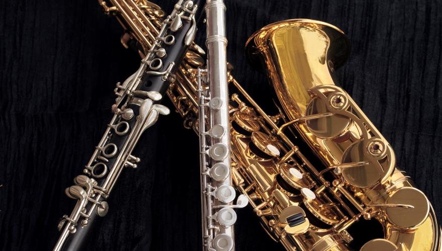 Flute and saxophone - woodwind instruments