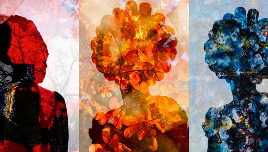 The BURN Project by Antoinette Ellis-Williams