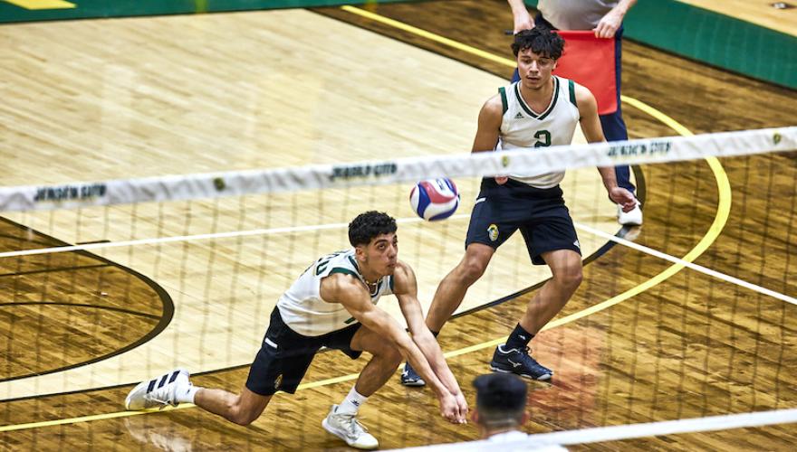 volleyball playing 2 men at net