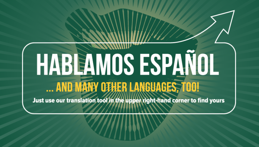 Graphic that says Hablamos Español, and many other languages, too! Just use our translation tool in the upper-right hand corner to find yours.