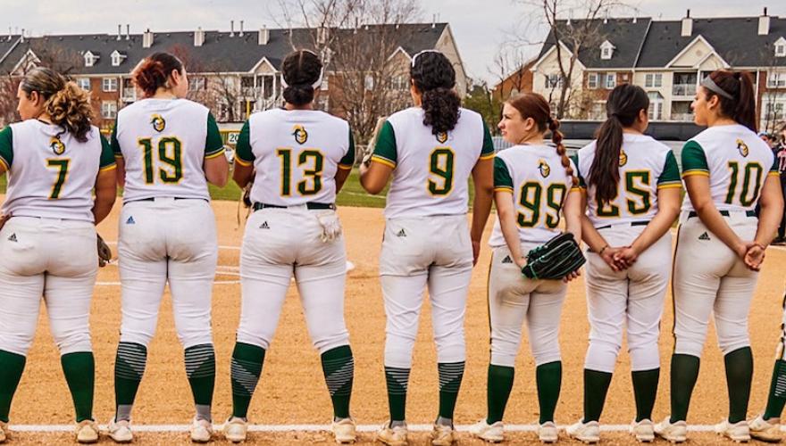 softball players lined up, backs seen
