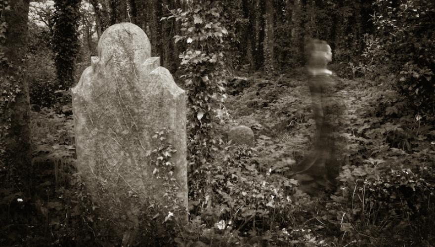 GHOST FEMALE IN THE WOODS