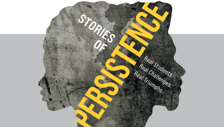 stories of persistence header with text