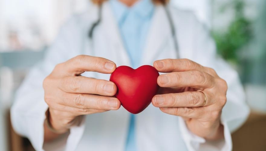 heart shape toy in hands of female doctor