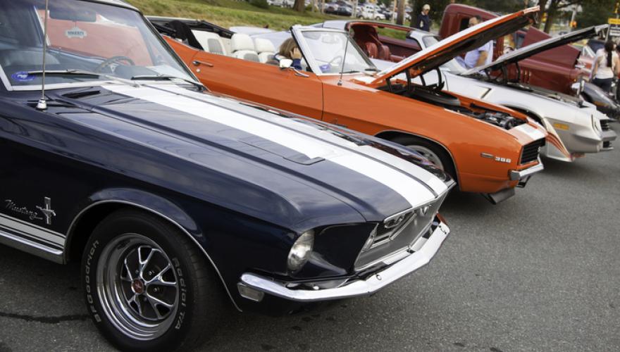 show cars lined up on lot