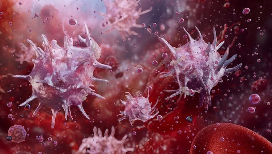 abstract depiction of blood cells