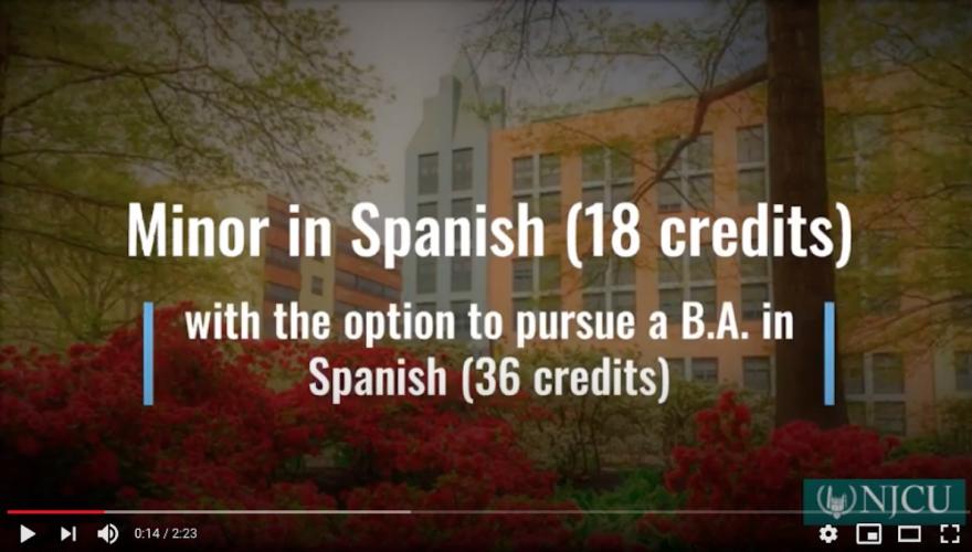 Spanish Minor Video Screenshot