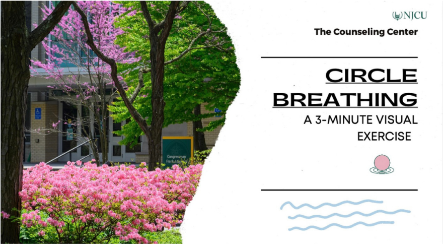 Image of Circle Breathing Exercise Video 