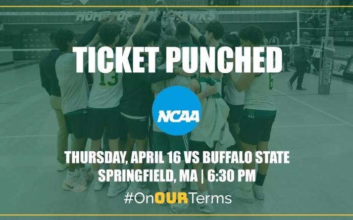 Men's Volleyball Ticket Punched graphic