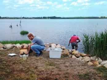 earth and environmental sciences summer project