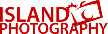 Island Photography logo