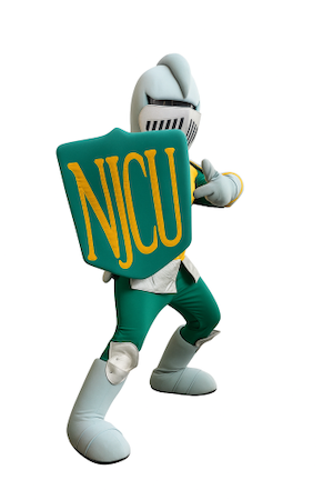 costumed knight standing pose