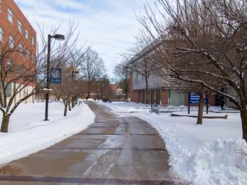 Walkway called the "Cougar Walk" in the snow 